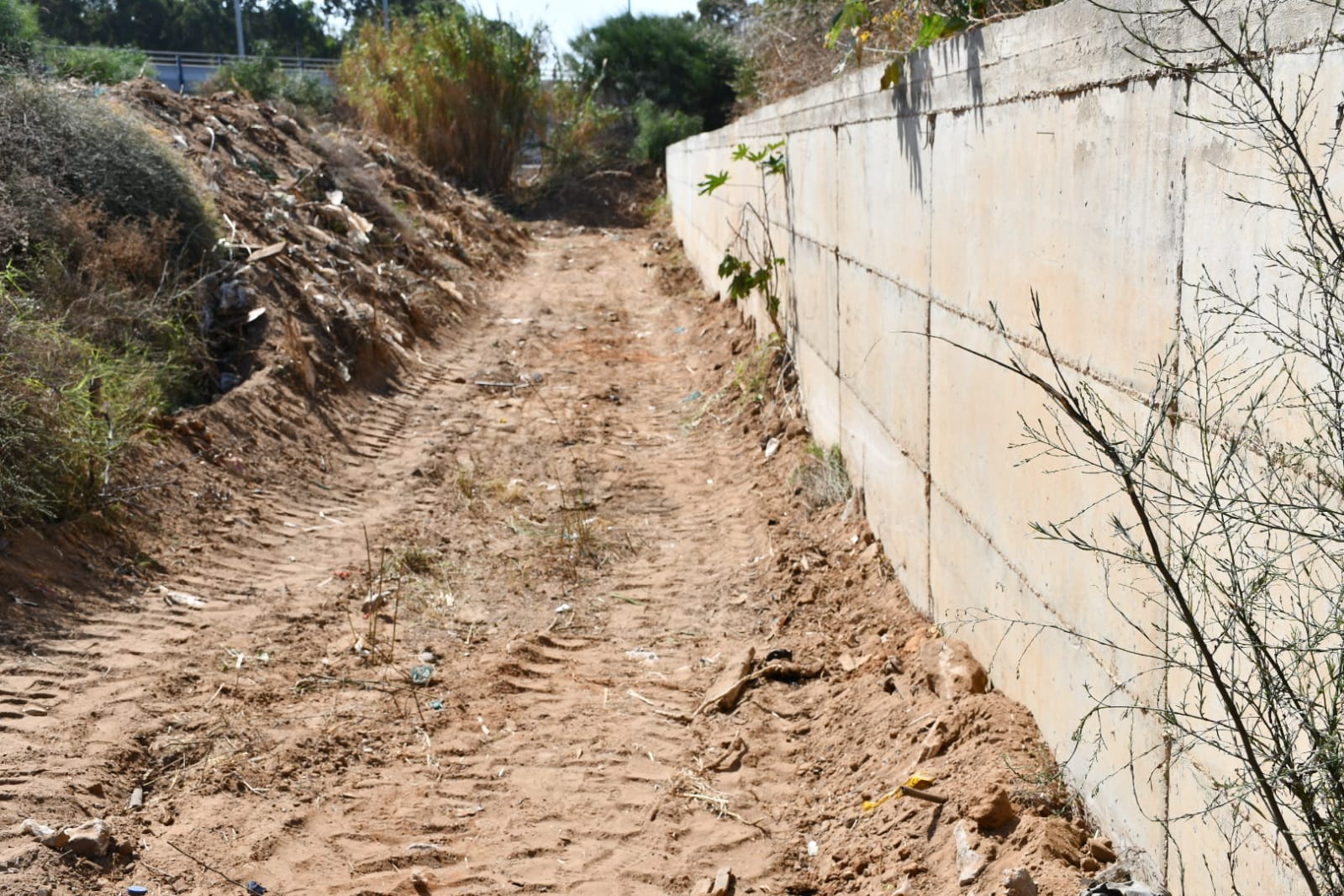 WhatsApp Image 2020-10-15 at 9.52.49 PM.jpeg.jpeg